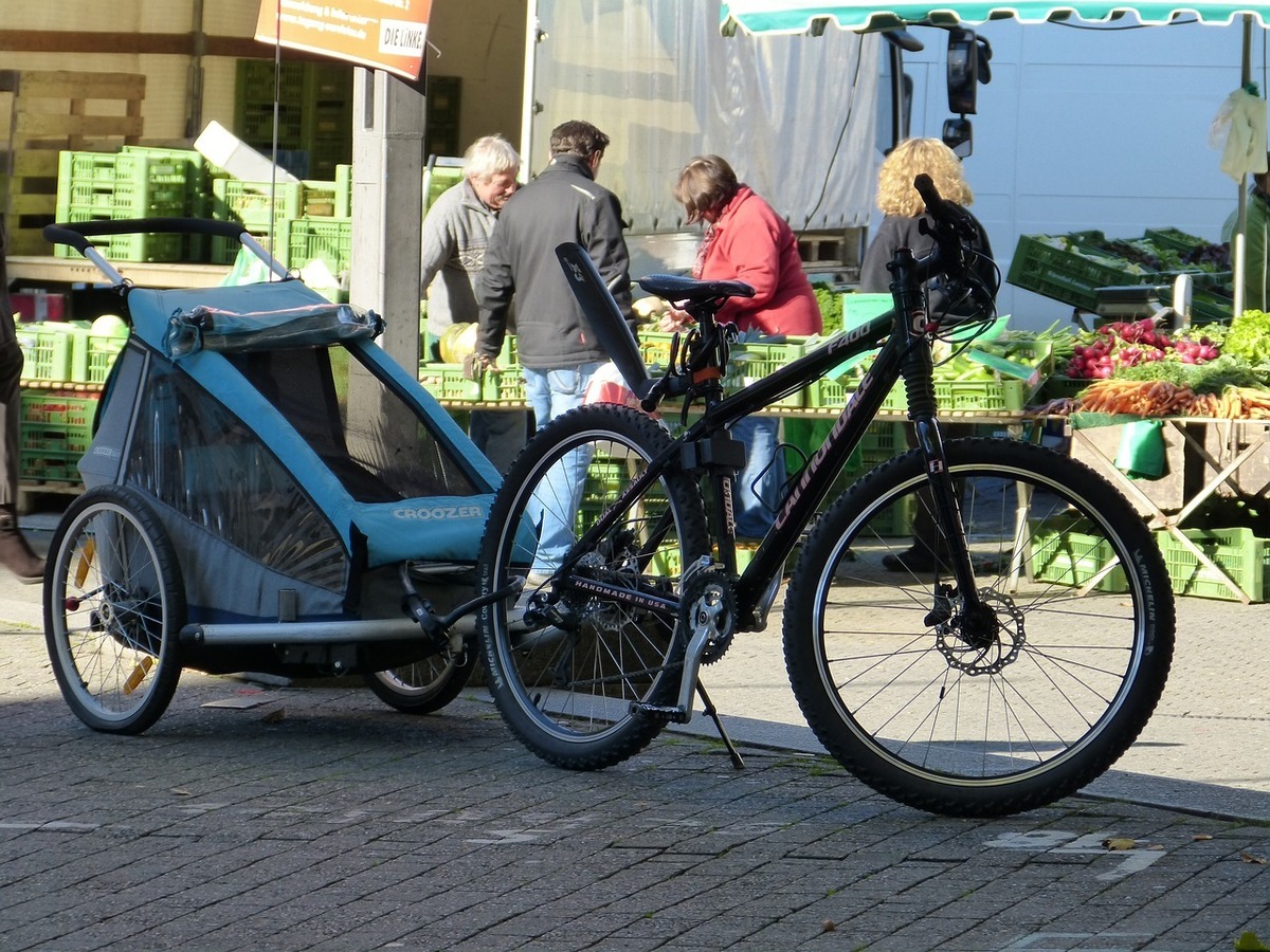 Kinder mitnehmen: Fahrradanhänger